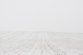 Landschaftsfotografie eines Feldes im Schnee 