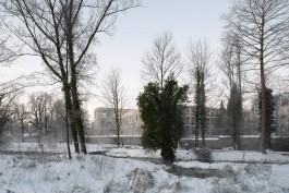 VIOLA EPLER fotografie