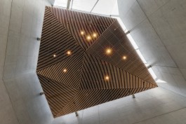 VIOLA EPLER fotografie