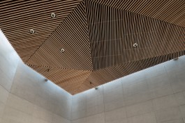 VIOLA EPLER fotografie