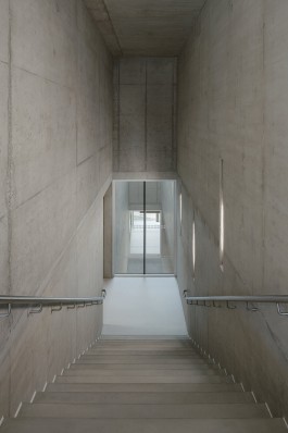 VIOLA EPLER fotografie