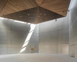 VIOLA EPLER fotografie