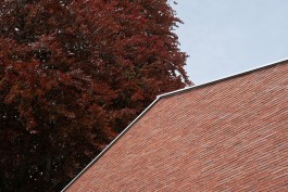 VIOLA EPLER fotografie