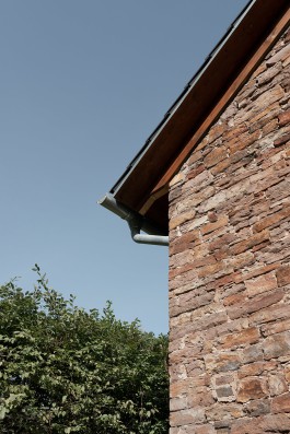 VIOLA EPLER fotografie