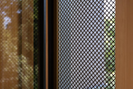 VIOLA EPLER fotografie