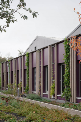 VIOLA EPLER fotografie