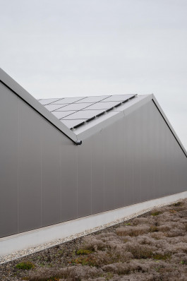 VIOLA EPLER fotografie