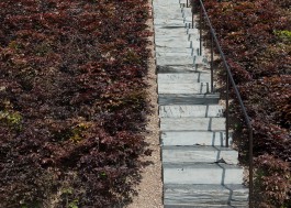 VIOLA EPLER fotografie