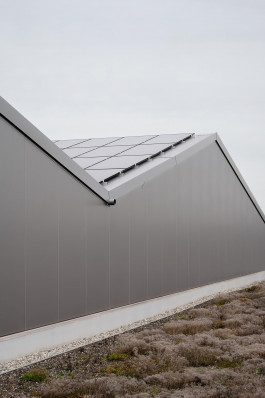 VIOLA EPLER fotografie