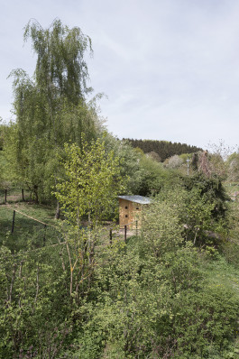 VIOLA EPLER fotografie