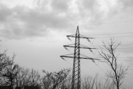 VIOLA EPLER fotografie