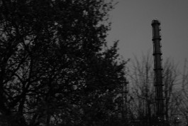 VIOLA EPLER fotografie