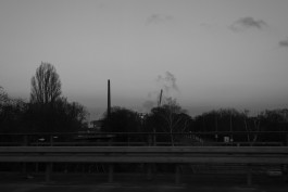 VIOLA EPLER fotografie