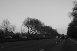 VIOLA EPLER fotografie