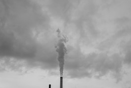 VIOLA EPLER fotografie