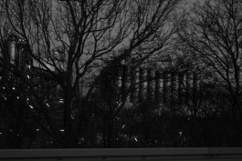 VIOLA EPLER fotografie