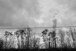 VIOLA EPLER fotografie