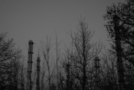 VIOLA EPLER fotografie