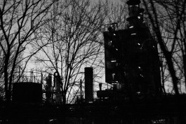 VIOLA EPLER fotografie