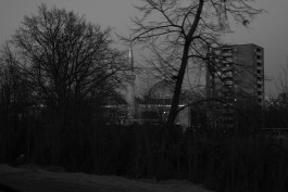 VIOLA EPLER fotografie