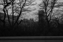 VIOLA EPLER fotografie