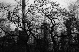 VIOLA EPLER fotografie