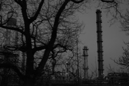 VIOLA EPLER fotografie