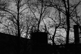 VIOLA EPLER fotografie