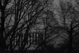 VIOLA EPLER fotografie