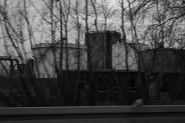 VIOLA EPLER fotografie