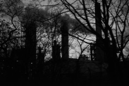 VIOLA EPLER fotografie