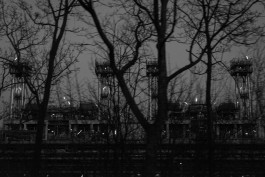 VIOLA EPLER fotografie