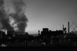 VIOLA EPLER fotografie