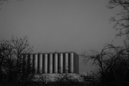 VIOLA EPLER fotografie