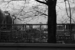 VIOLA EPLER fotografie