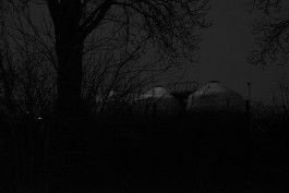 VIOLA EPLER fotografie