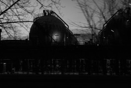 VIOLA EPLER fotografie