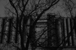 VIOLA EPLER fotografie