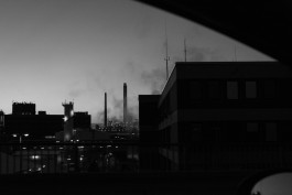 VIOLA EPLER fotografie