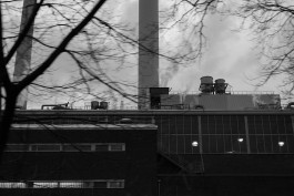 VIOLA EPLER fotografie