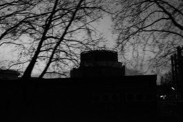 VIOLA EPLER fotografie