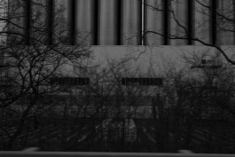 VIOLA EPLER fotografie