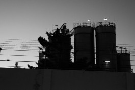 VIOLA EPLER fotografie