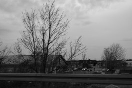 VIOLA EPLER fotografie