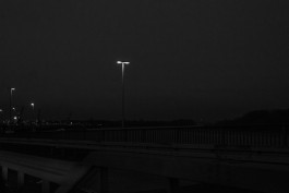 VIOLA EPLER fotografie