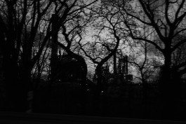 VIOLA EPLER fotografie