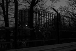 VIOLA EPLER fotografie