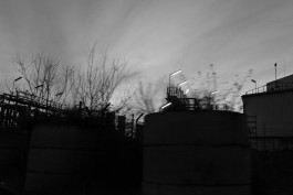 VIOLA EPLER fotografie