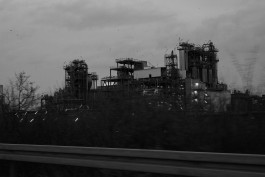 VIOLA EPLER fotografie