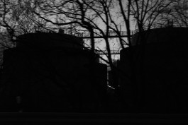 VIOLA EPLER fotografie